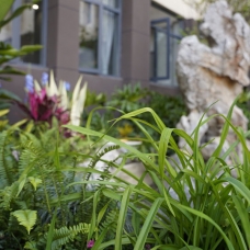 校園環境 校園環境